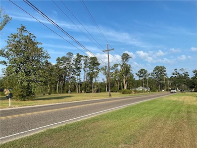 27218 Hwy 42 Hwy, Springfield, LA 70462 - photo 3
