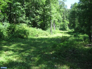 151 Sousley Rd, Lenhartsville, PA 19534 - photo 5