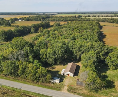 251 Highway Z, Poplar Bluff, MO 63901 - photo 4