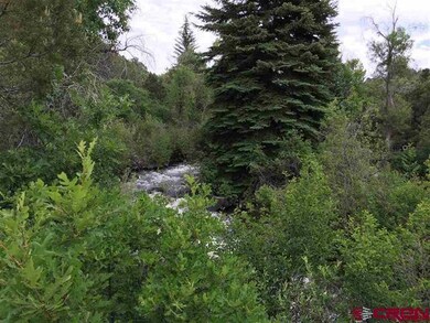20602 Surface Creek Rd, Cedaredge, CO 81413 - photo 5