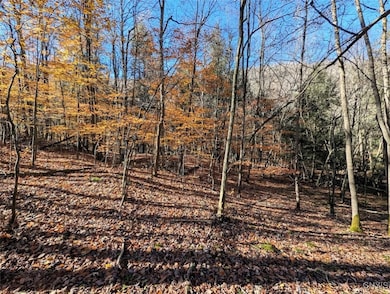 0 County Road 126, Greenwood, NY 14839 - photo 7