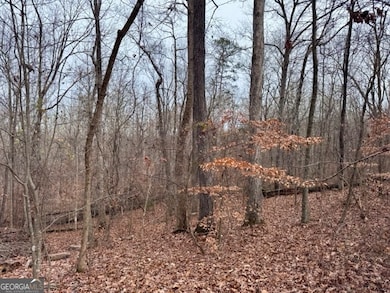 4260 Joe Chandler Rd, Gillsville, GA 30543 - photo 4