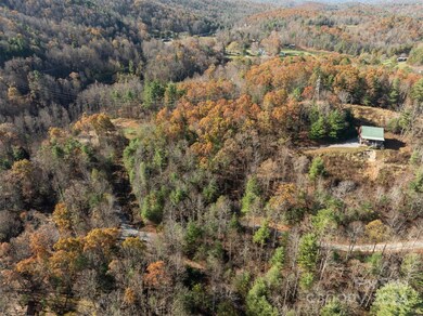 99999 Big Raven Ln, Saluda, NC 28773 - photo 6