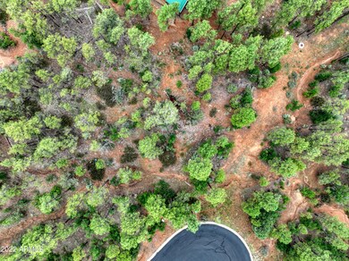 2080 S High Sierra Ct unit 86A, Show Low, AZ 85901 - photo 6