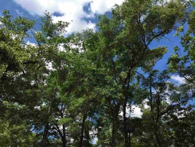 xxxx Beechwood Dr unit 2, Crawfordville, FL 32327 - photo 3