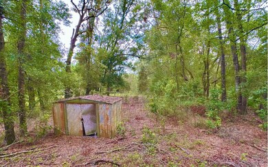 27808 39th Ln, Branford, FL 32008 - photo 7