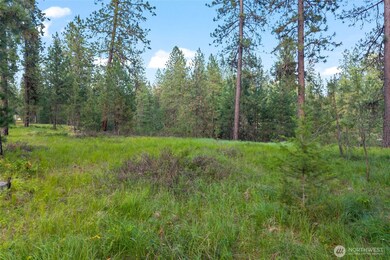 0 5xx Couples Ct, Chewelah, WA 99109 - photo 5