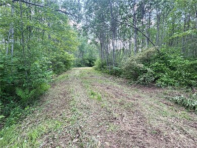 Wooded Land with freshly cut trails throughout pro
