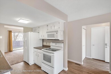 07-832-Armstrong-Rd-Lansing-WindowStill-