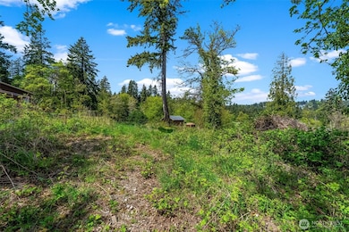 14308 Olalla Crest Ln SE, Olalla, WA 98359 - photo 3