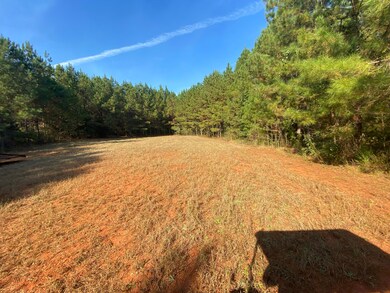 4866 Hwy 42 S, Forsyth, GA 31029 - photo 7