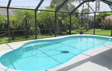 Solar Heated Pool