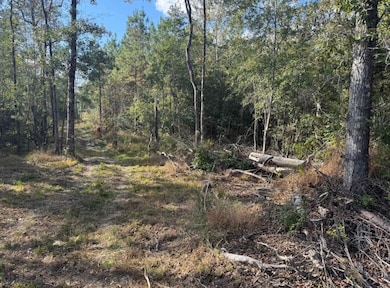 000 J Bailey Rd, Wiggins, MS 39577 - photo 3