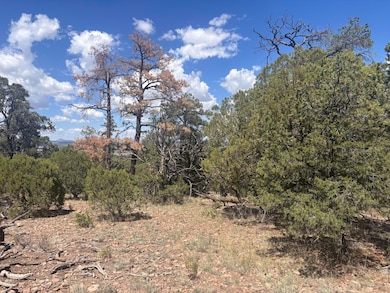 0 Lot 23 Tee Pee Ranch unit 1090346, Datil, NM 87821 - photo 6