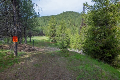 TBD 37 Clear Creek Rd, Cascade, ID 83611 - photo 2