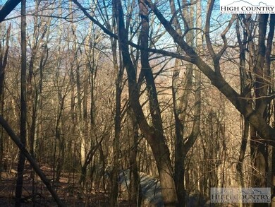 Ridgeline View 2