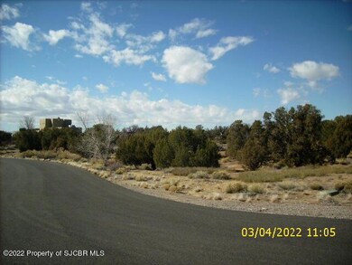 6925 High Point Dr, Farmington, NM 87402 - photo 3