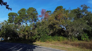 7939 Rhanbuoy Rd, Spring Hill, FL 34606 - photo 4