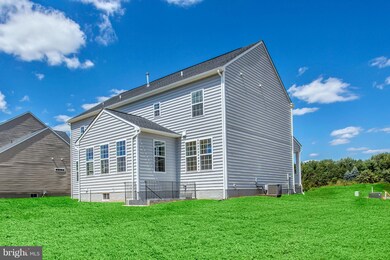 19002 Black Maple Way, Hagerstown, MD 21742 - photo 4