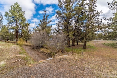 19725 Connarn Rd, Bend, OR 97701 - photo 5