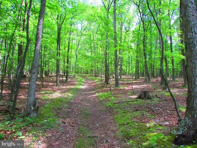 17 Rock Slide Way, Romney, WV 26757 - photo 5