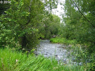 0 Slauterhouse unit 14659307, Halfway, OR 97834 - photo 4