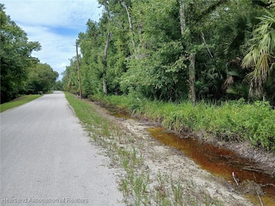 240 Sheppard Rd, Venus, FL 33960 - photo 4