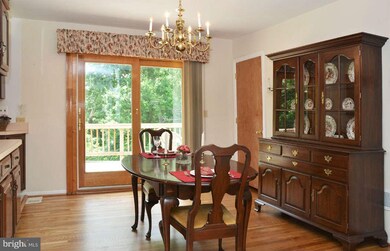 12536 Palermo Dr, Silver Spring, MD 20904 - photo 7