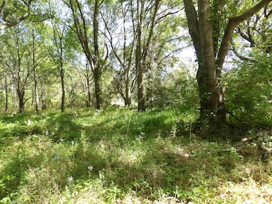 1558 Scott Hill Rd, Charleston, SC 29412 - photo 4