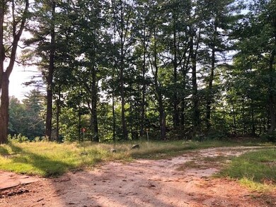 64 Walsh Rd, Sanbornville, NH 03872 - photo 7