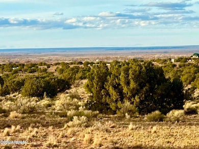 480 County Road N6400 --, Saint Johns, AZ 85936 - photo 4