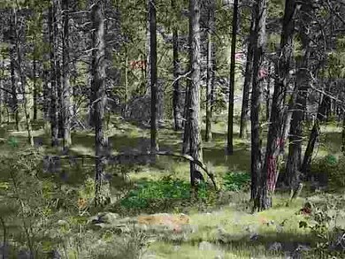 0 N Old Trails Rd unit 201317106, Spokane, WA 99224 - photo 6