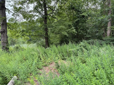 0 Sally Burr Rd, Litchfield, CT 06759 - photo 5