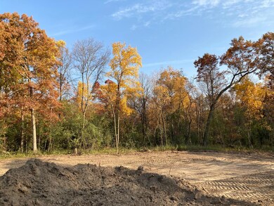 3857 Mayo Ridge Ln SW, Rochester, MN 55902 - photo 5