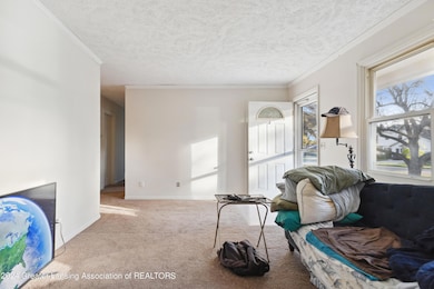 1004 Old Erin Way, Lansing, MI 48917 - photo 5