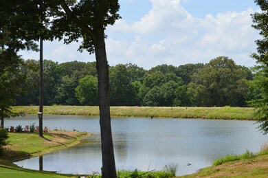 Community Lake