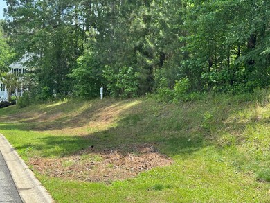 0 Mount Vintage Plantation Dr unit 541851, Edgefield, SC 29860 - photo 2