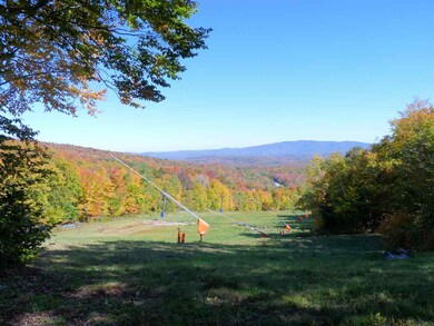 388 Ethan Allen Trail unit B2, Peru, VT 05152 - photo 3