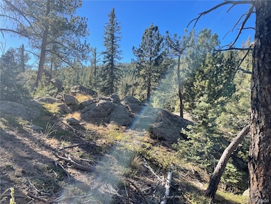 0 Shadow Mountain Dr, Conifer, CO 80433 - photo 6