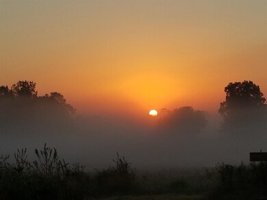 2652 N Dancer Rd, Dexter, MI 48130 - photo 5