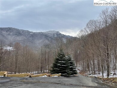 360 Caseys Gap Rd, Banner Elk, NC 28604 - photo 2