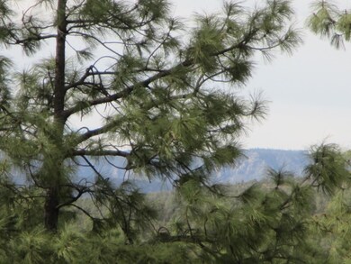Photo 07