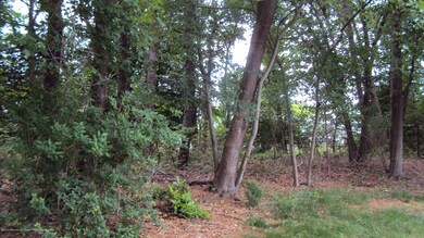 DSC07857