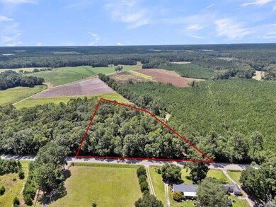 0 Cypress Campground Rd unit 25020685, Ridgeville, SC 29472 - photo 7