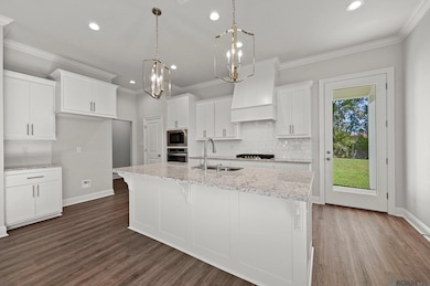 5140 Black River Rd, Darrow, LA 70725 - photo 4