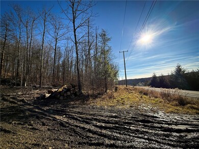 Lot-01 Langford Creek Rd, van Etten, NY 14889 - photo 7
