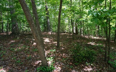 2 LTS Beaver Lake L275 276, Ellijay, GA 30540 - photo 2