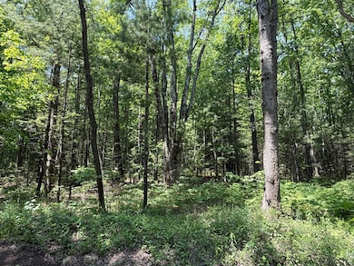 0 Austin Rd unit 25019198, Cedar Creek Township, MI 49457 - photo 5