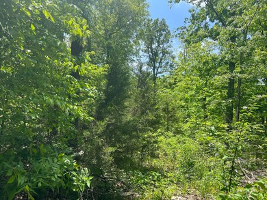 VACANT LAND