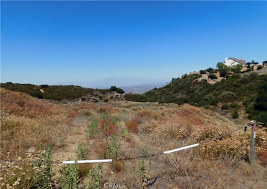 34550 S Main Divide, Lake Elsinore, CA 92530 - photo 5